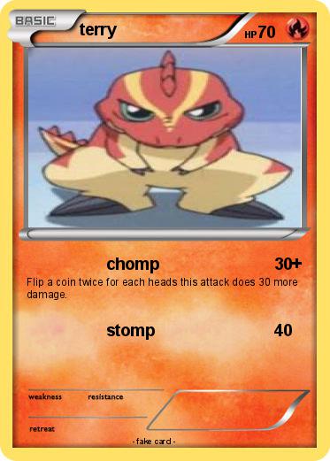 Pokemon terry