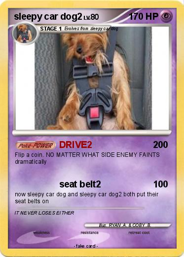 Pokemon sleepy car dog2