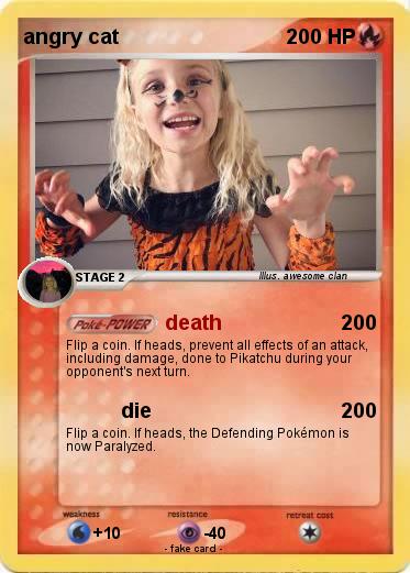 Pokemon angry cat