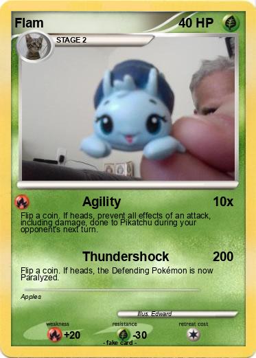 Pokemon Flam