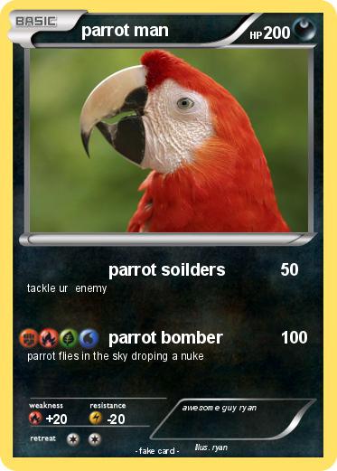 Pokemon parrot man