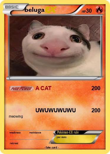 Pokemon beluga
