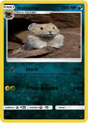 Pokemon moleachu