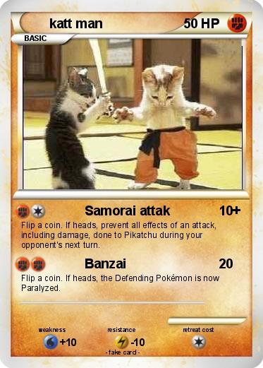 Pokemon katt man