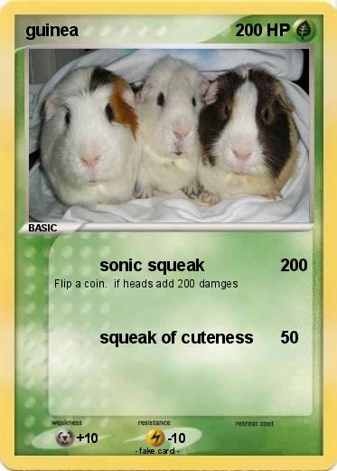 Pokemon guinea