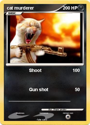 Pokemon cat murderer