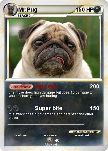 Pokemon Mr.Pug