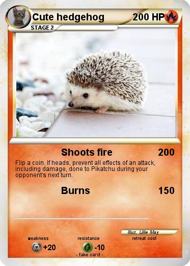 Pokemon Cute hedgehog