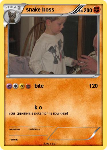 Pokemon snake boss