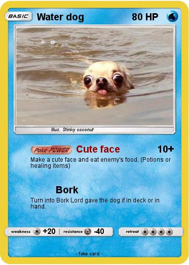 Pokemon Water dog
