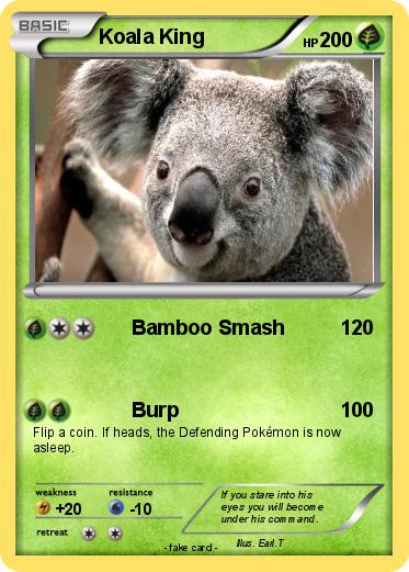 Pokemon Koala King