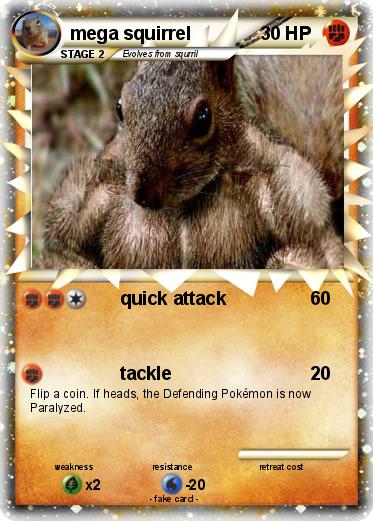 Pokemon mega squirrel