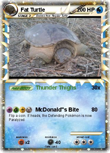 Pokemon Fat Turtle