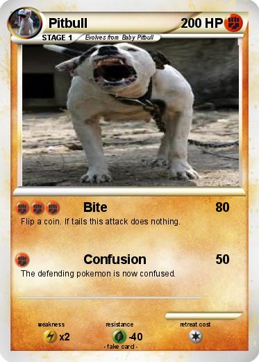 Pokemon Pitbull