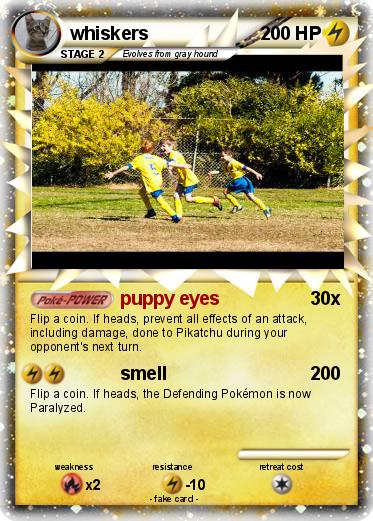 Pokemon whiskers