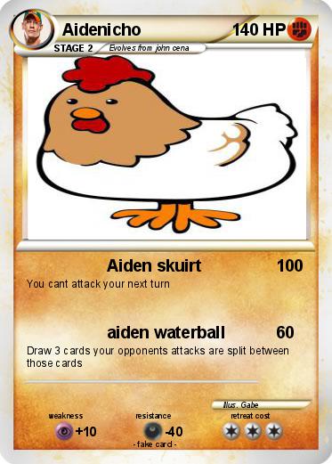 Pokemon Aidenicho