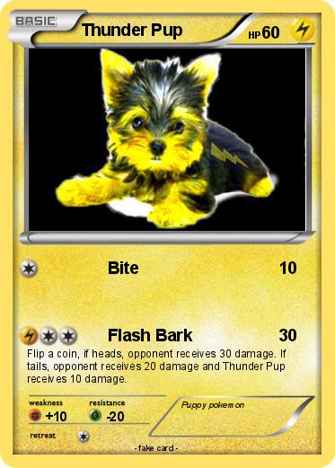 Pokemon Thunder Pup
