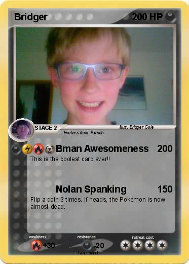 Pokemon Bridger