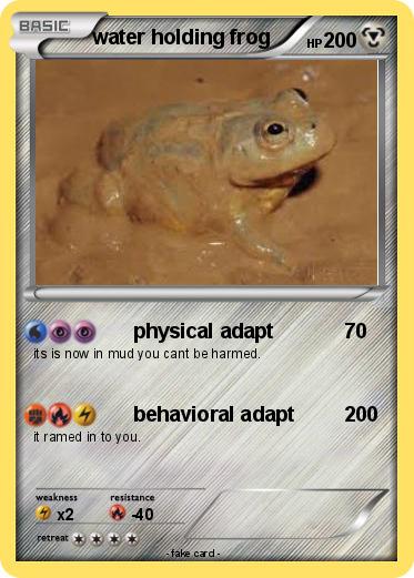 Pokemon water holding frog