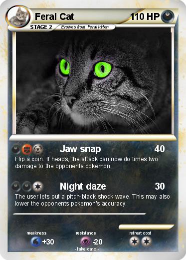 Pokemon Feral Cat