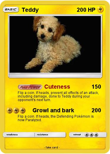 Pokemon Teddy