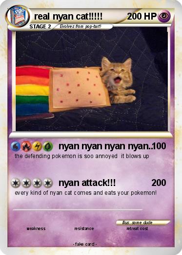 Pokemon real nyan cat!!!!! Pokemon real nyan cat!!!!!