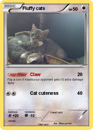 Pokemon Fluffy cats