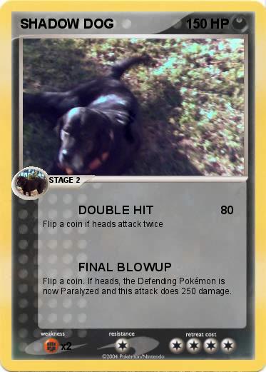Pokemon SHADOW DOG