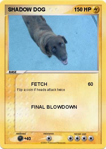 Pokemon SHADOW DOG