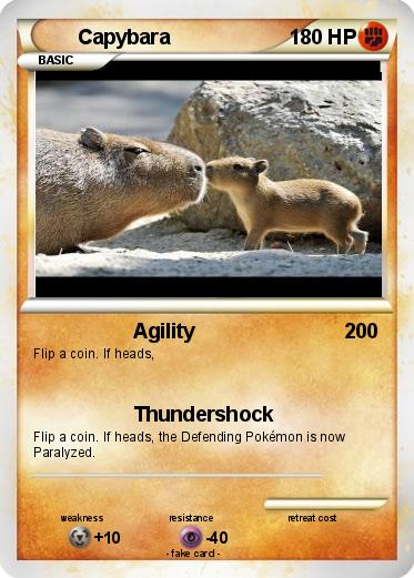 Pokemon Capybara