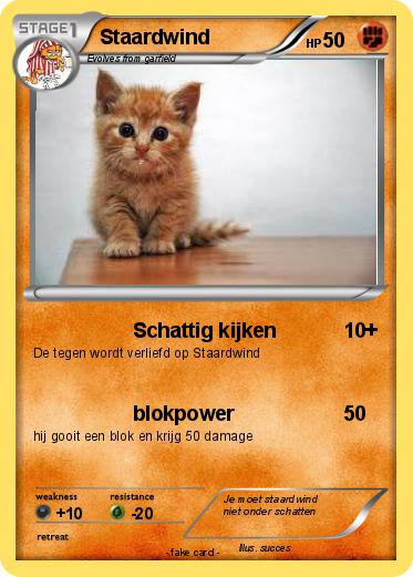 Pokemon Staardwind