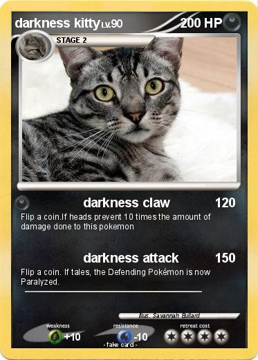 Pokemon darkness kitty