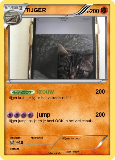 Pokemon TIJGER