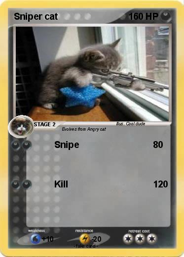 Pokemon Sniper cat