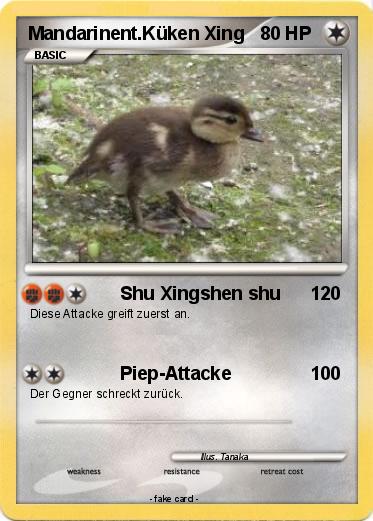 Pokemon Mandarinent.Küken Xing