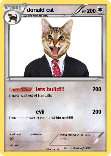 Pokemon donald cat