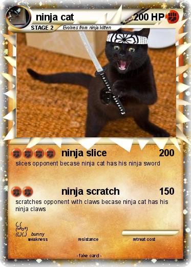 Pokemon ninja cat