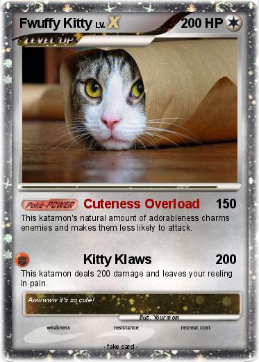 Pokemon Fwuffy Kitty