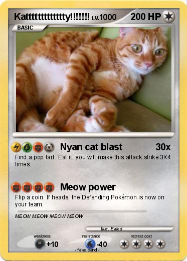 Pokemon Kattttttttttttty!!!!!!!