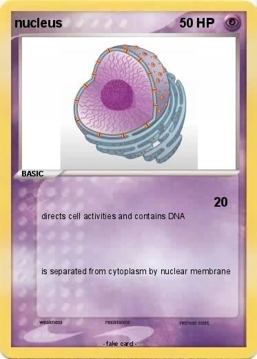 Pokemon nucleus