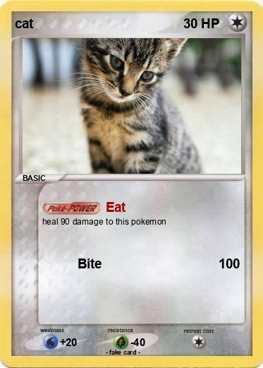 Pokemon cat