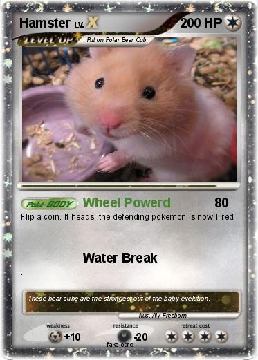 Pokemon Hamster