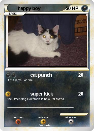 Pokemon happy boy