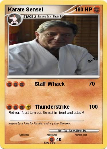 Pokemon Karate Sensei