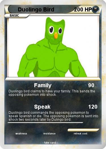 Pokemon Duolingo Bird