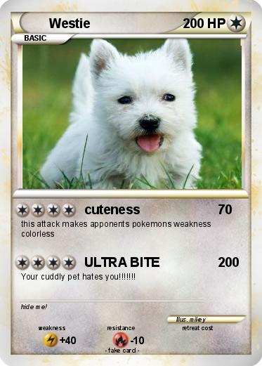 Pokemon Westie