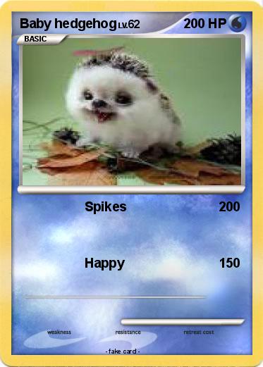 Pokemon Baby hedgehog