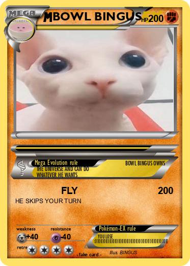 Pokemon BOWL BINGUS