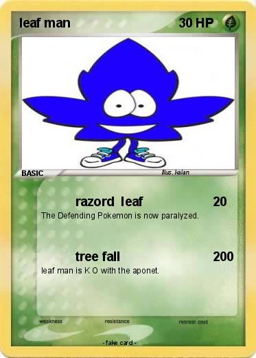 Pokemon leaf man