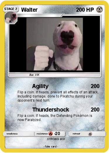 Pokemon Walter